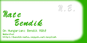 mate bendik business card